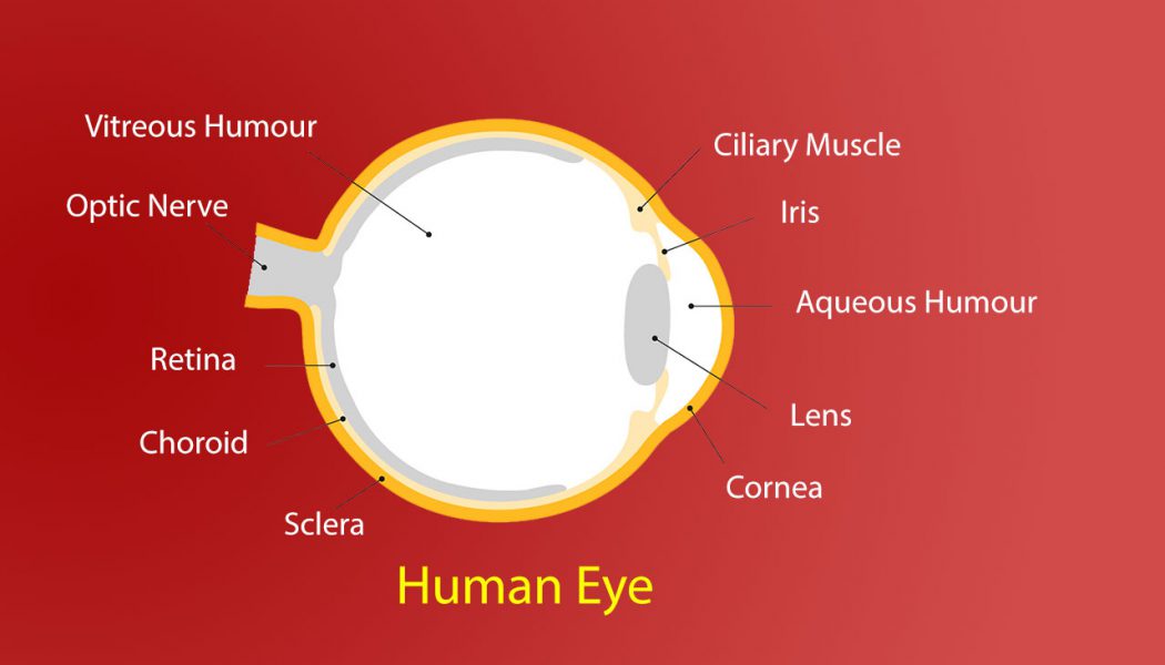 Corrective Lenses – Basics