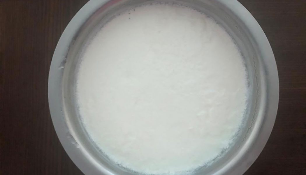 Healthy home made Curd