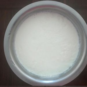 Healthy home made Curd