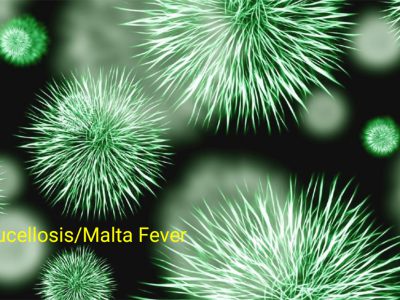 Malta Fever – Brucellosis