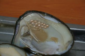 Pearl – What is it?