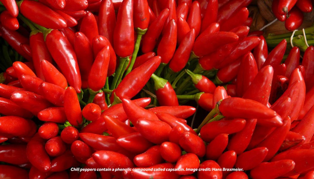 Chili-Pepper Effect