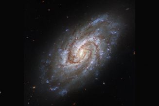 Spiral Galaxy IC 1954