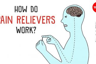 How do Pain Relievers work? – Basics