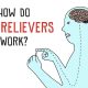 How do Pain Relievers work? – Basics