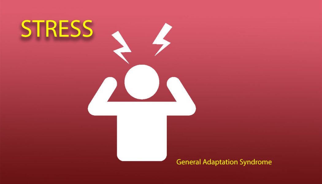 Stress – General Adaptation Syndrome