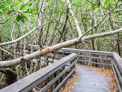 Everglades National Park – Florida