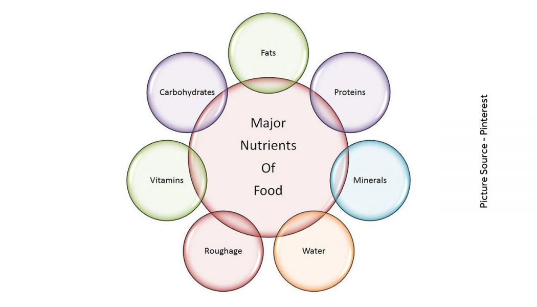 Classification Of Nutrients In Food
