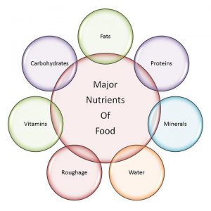 Classification Of Nutrients In Food
