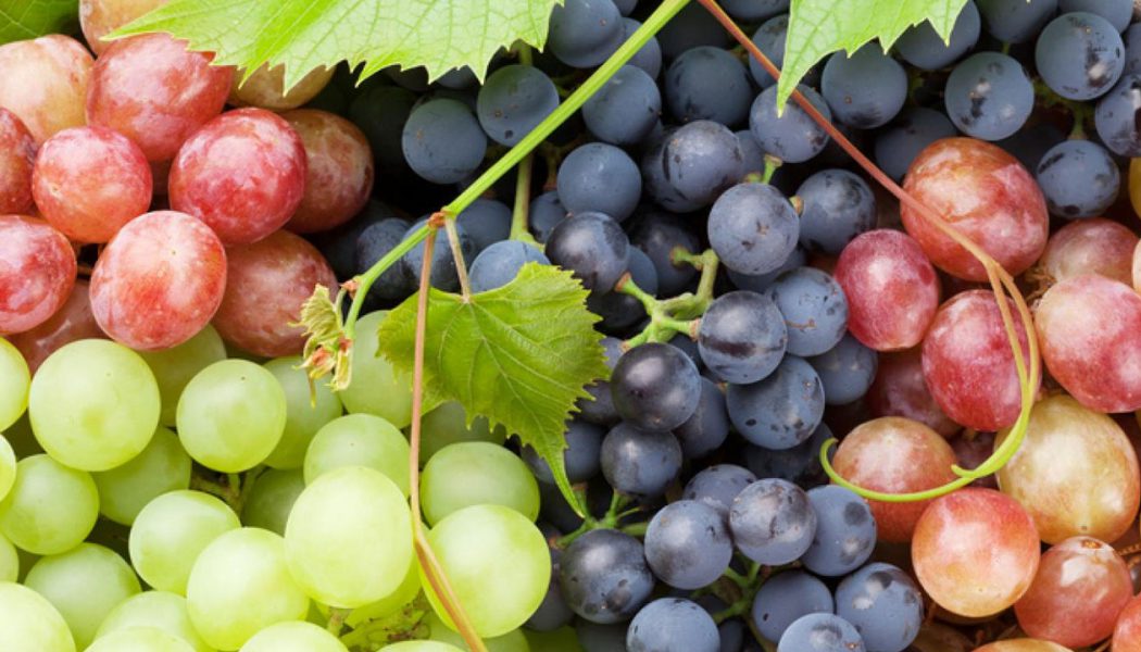 Grapes And Health